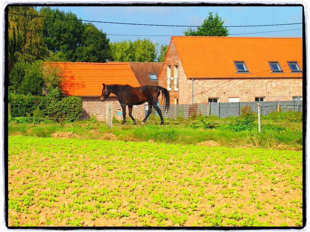 Archipel Holiday Cottage Ellezelles Kamer foto