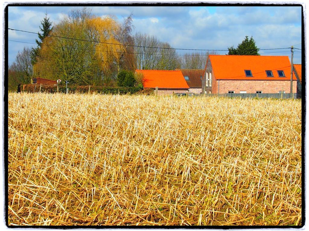 Archipel Holiday Cottage Ellezelles Buitenkant foto