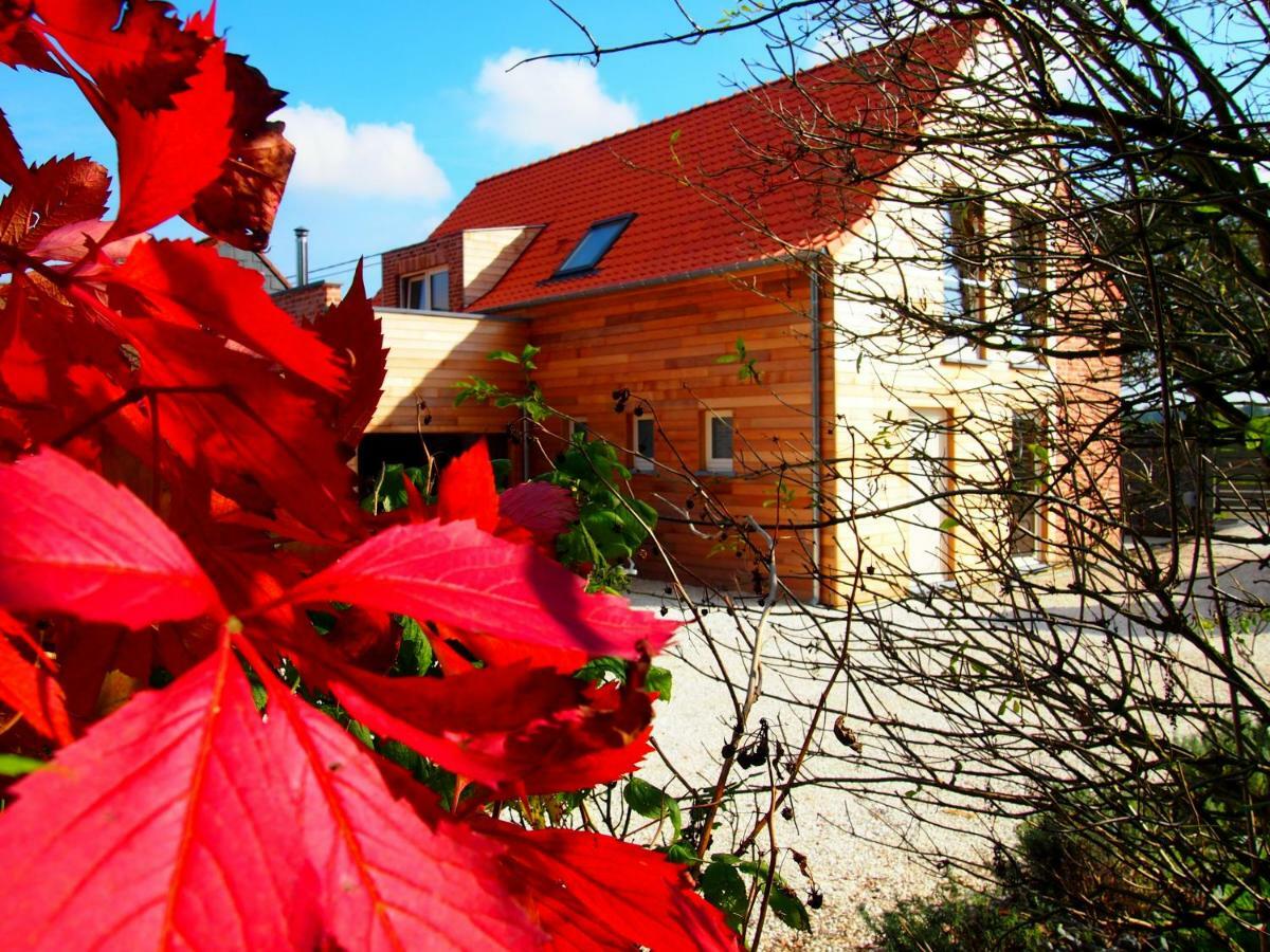 Archipel Holiday Cottage Ellezelles Buitenkant foto