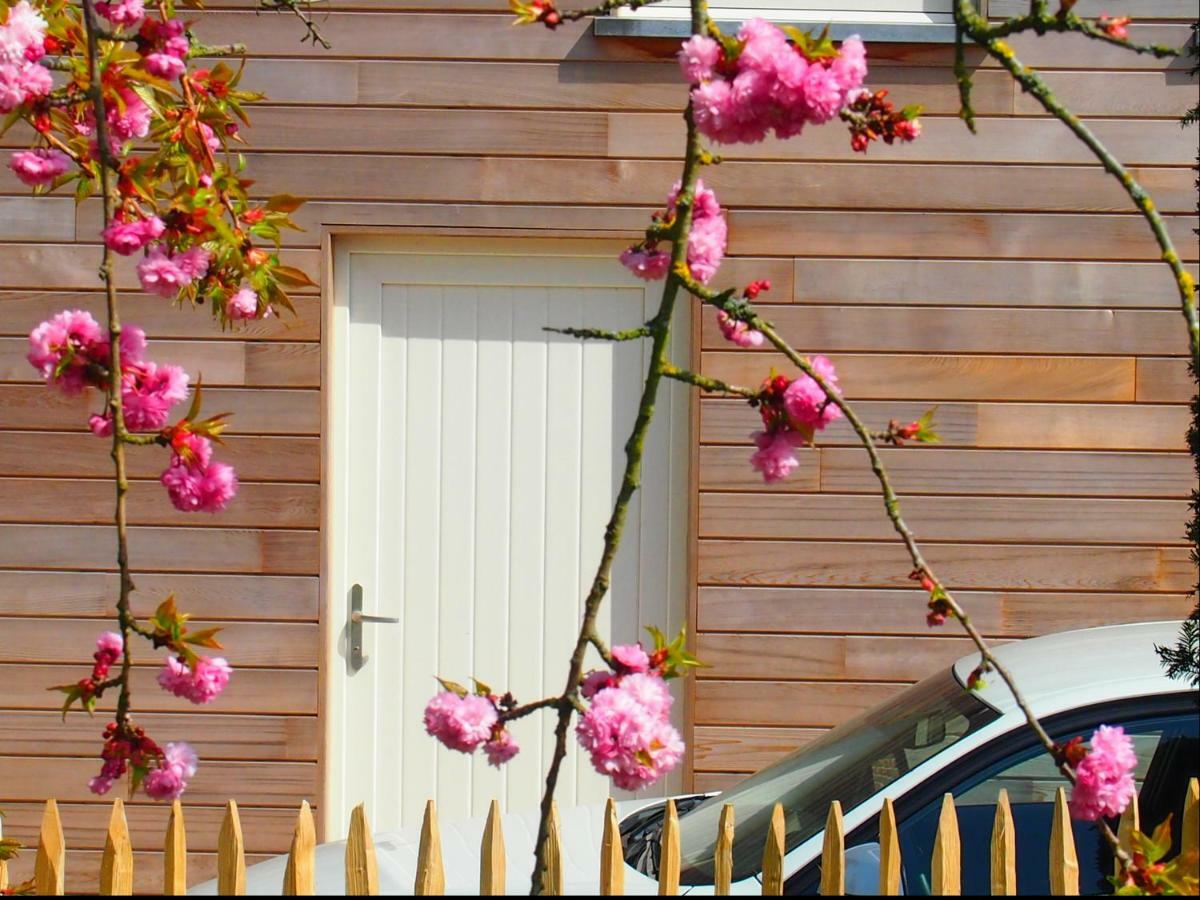 Archipel Holiday Cottage Ellezelles Buitenkant foto